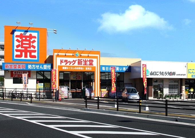 ドラッグ新生堂室見店