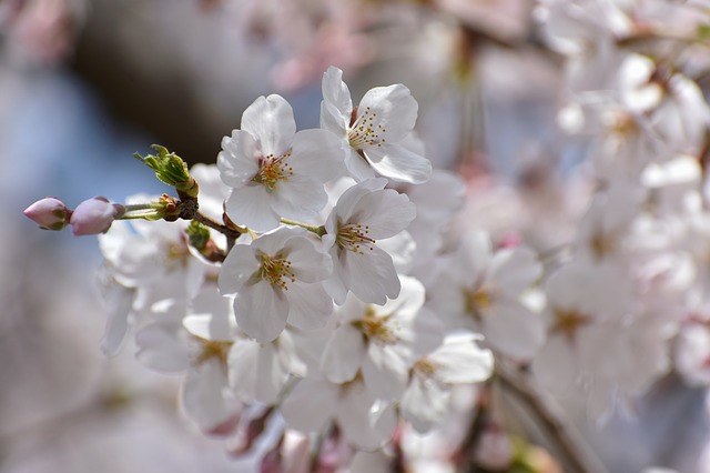 第15期もよろしくお願いいたします
